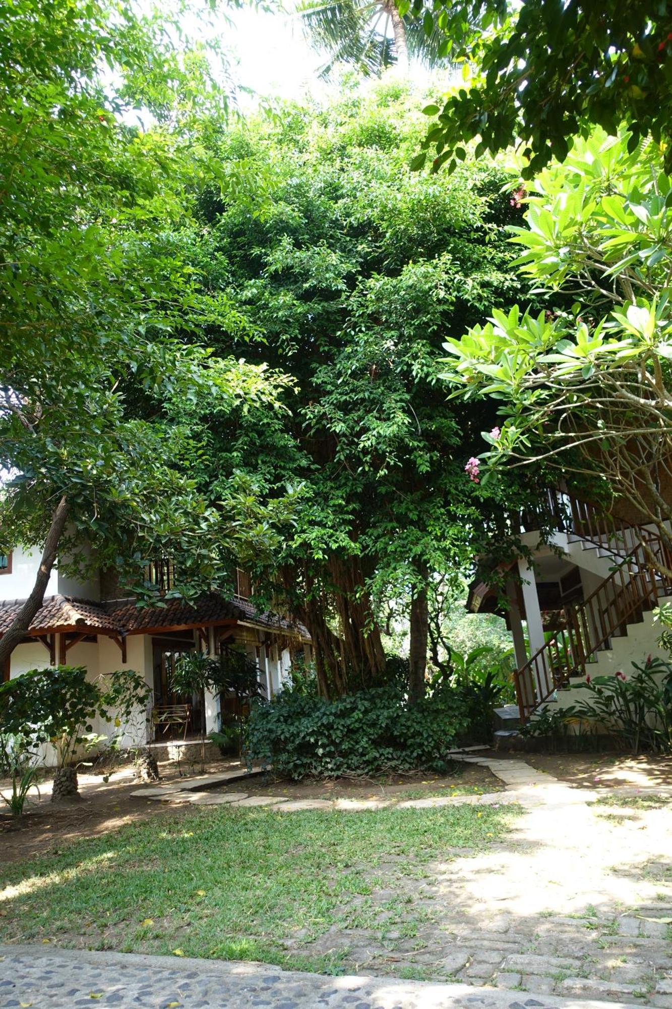 Villa Jati Mangsit Senggigi Eksteriør bilde